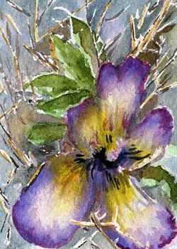 Purple Passion Anne Irish Middleton WI watercolor